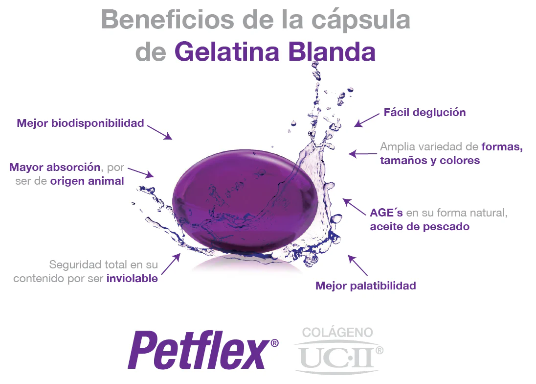 Petflex 30 cápsulas gelatina blanda ( colágeno ácidos grasos ) - Imagen 2