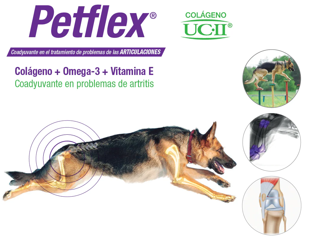 Petflex 30 cápsulas gelatina blanda ( colágeno ácidos grasos ) - Imagen 3