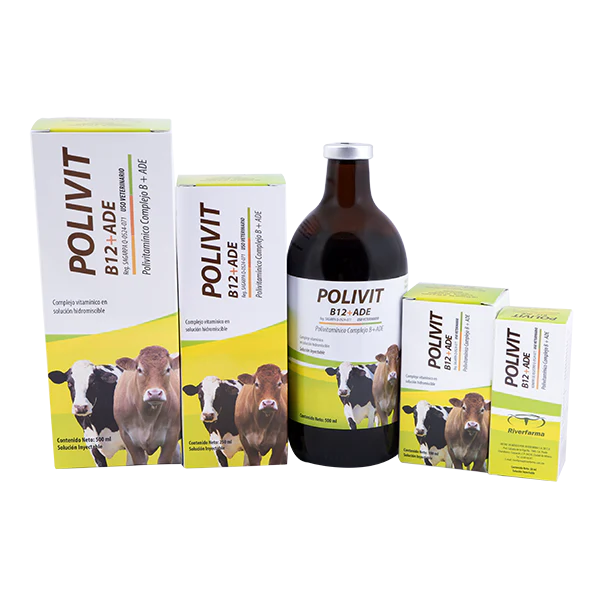 Polivit B 12 + ADE Frasco con 250 ml