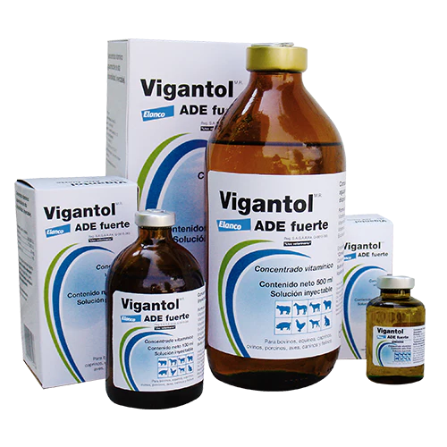 Elanco Vigantol Vitaminico - Imagen 3