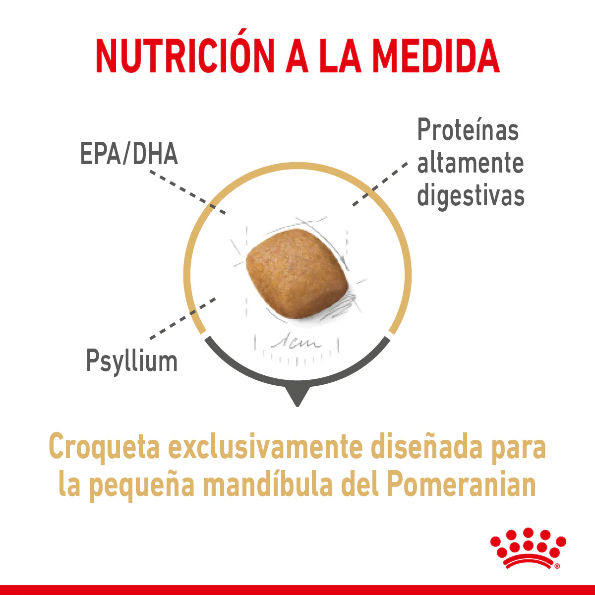 Royal Canin Pomerian Adult 1.1 Kg - Alimento Para Perro Pomeriano - Imagen 4