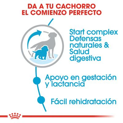 Royal Canin Alimento Perros Starter Cachorro Lactancia Gestacion Raza Mediana Croqueta Pienso - Imagen 3