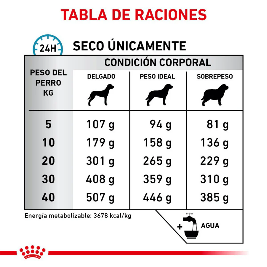 Royal Canin Anallergenic - Imagen 2