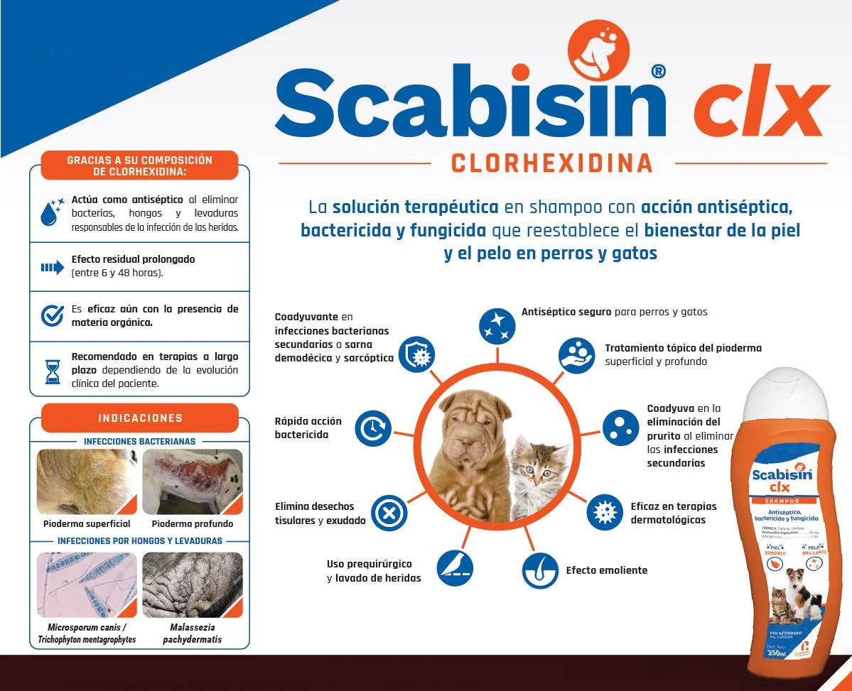 Scabisin clx Shampoo 350 ml Antiséptico Bactericida y Fungicida (Clorhexidina) TEMPORALMENTE AGOTADO - Imagen 2