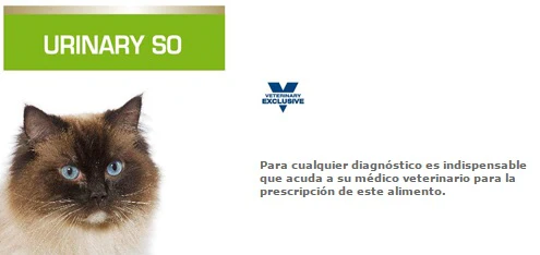 Royal Canin Alimento Gatos Urinary Feline Lata 145 gr Disolucion Prevencion Calculos Estruvita - Imagen 4