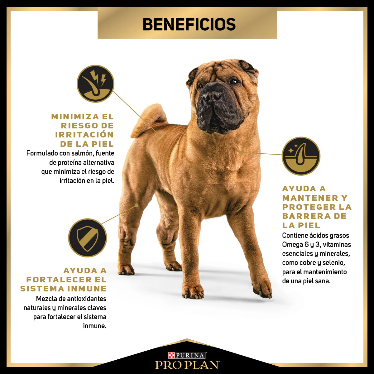 Pro Plan Alimento Perros Cachorros Puppy Salmon Sensitive Skin Todas Razas Optiderm - Imagen 5