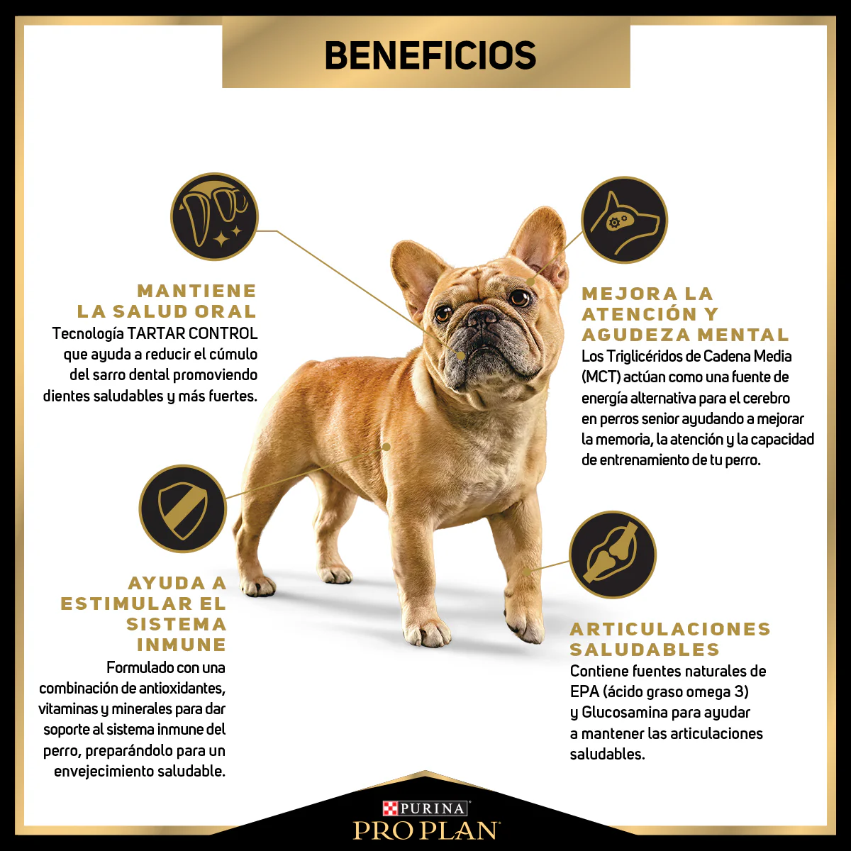 Pro Plan Senior Active Mind Optiage Adulto Mayor Razas Pequeñas Perros - Imagen 5