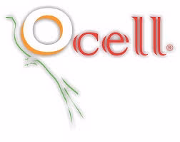 Ocell Alimento Aves Canarias Pasta Profesional Factor Rojo 1kg - Imagen 5