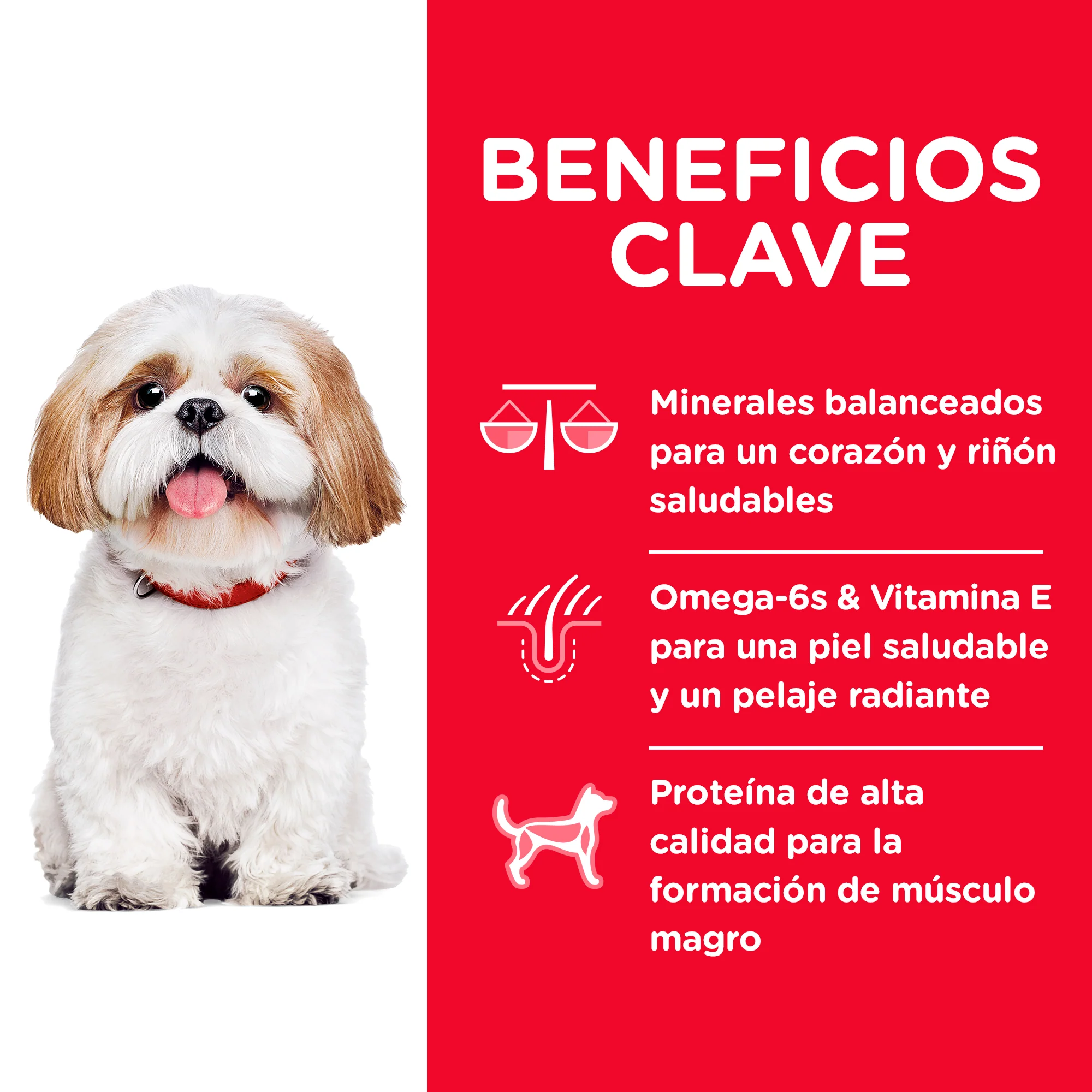 Hills Science Diet Small bites Adult 7+ Alimento Perros Senior Raza Pequeña Bocados Pequeños Croqueta - Imagen 3