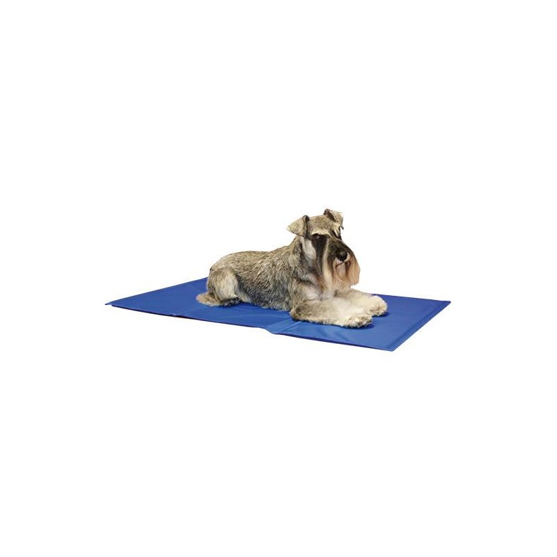 Alfombra Ibáñez REFRESCANTE