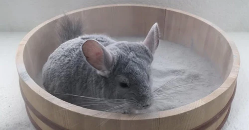 Propiel Baño de Arena especial para Chinchillas Marmolina 1Kg - Imagen 2