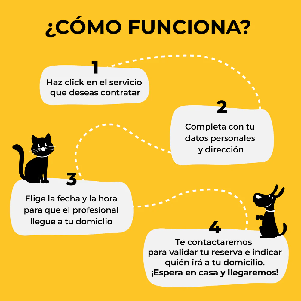 Primera vacuna cachorro o gatito - Imagen 5