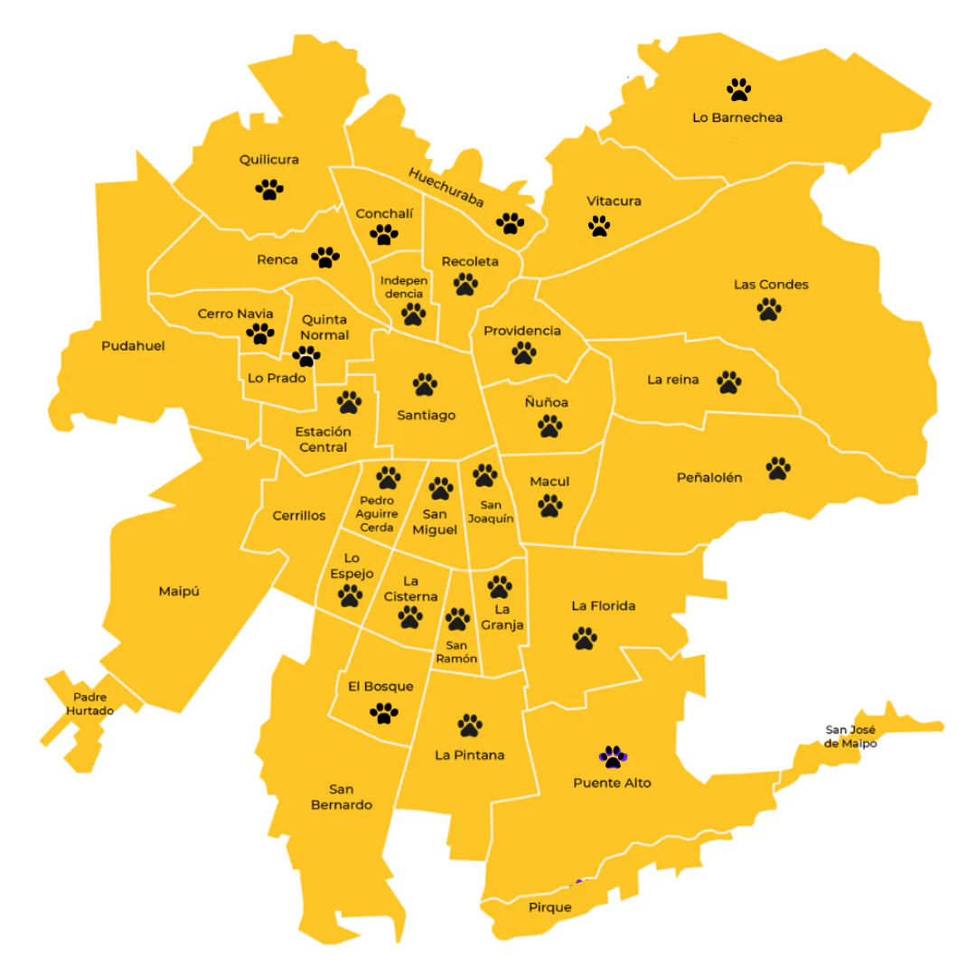 Primera vacuna cachorro o gatito - Imagen 3