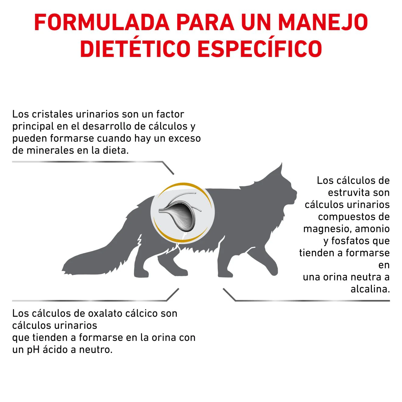 Royal Canin Alimento Gatos Urinary Feline Disolucion Prevencion Calculos Estruvita - Imagen 5