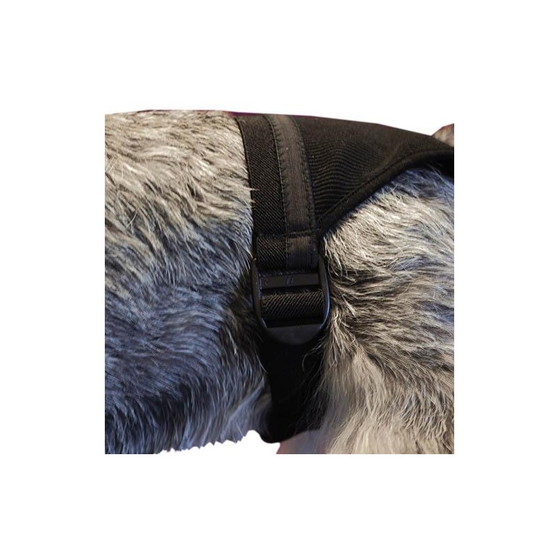 BRAGUITA para el celo - Imagen 3