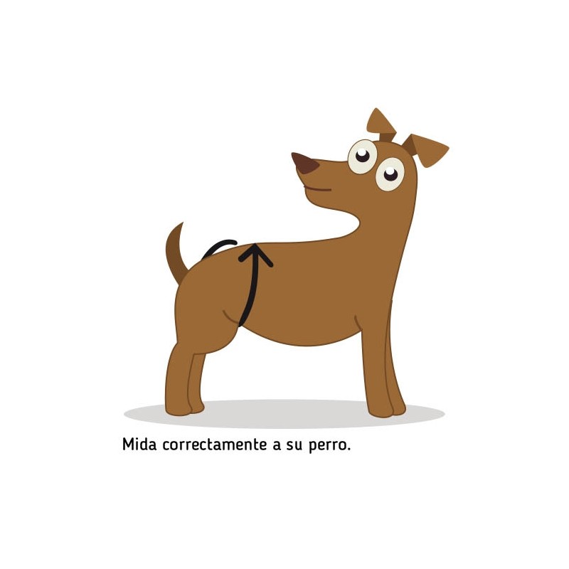 BRAGUITA para el celo - Imagen 2