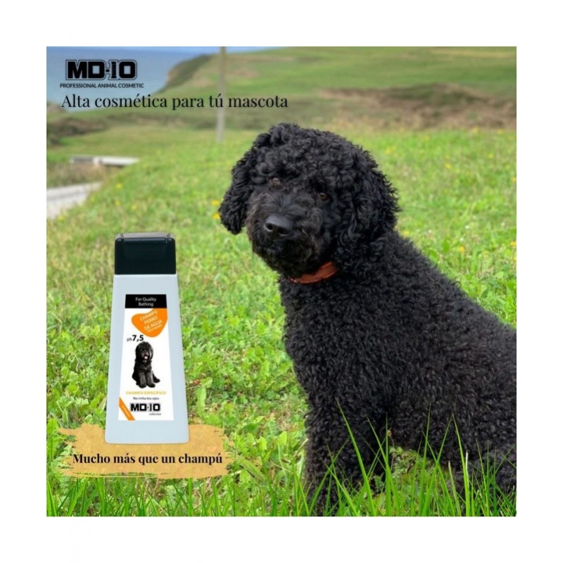 Champú PDAE Negro MD10 - Imagen 2