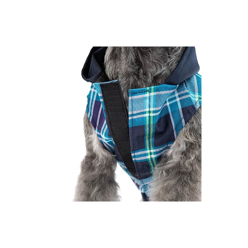 Chubasquero Con Capucha SKY BLUE - Imagen 3