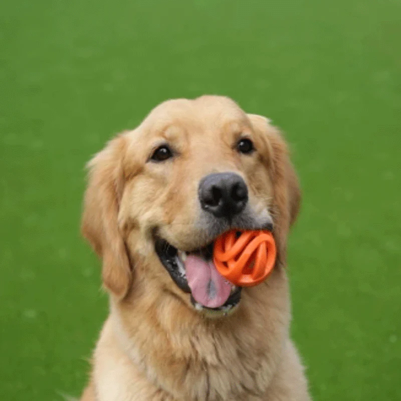Pelotas para Perros Chuckit! Air Fetch Ball - Imagen 4