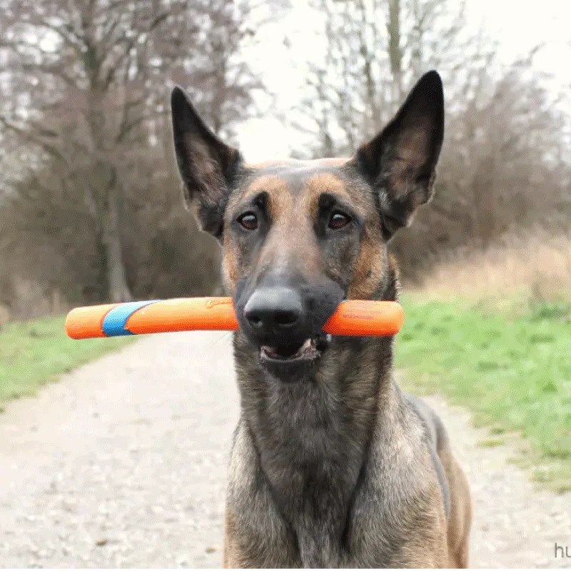 Vara para Perros Chuckit! Ultra Fetch Stick - Imagen 3
