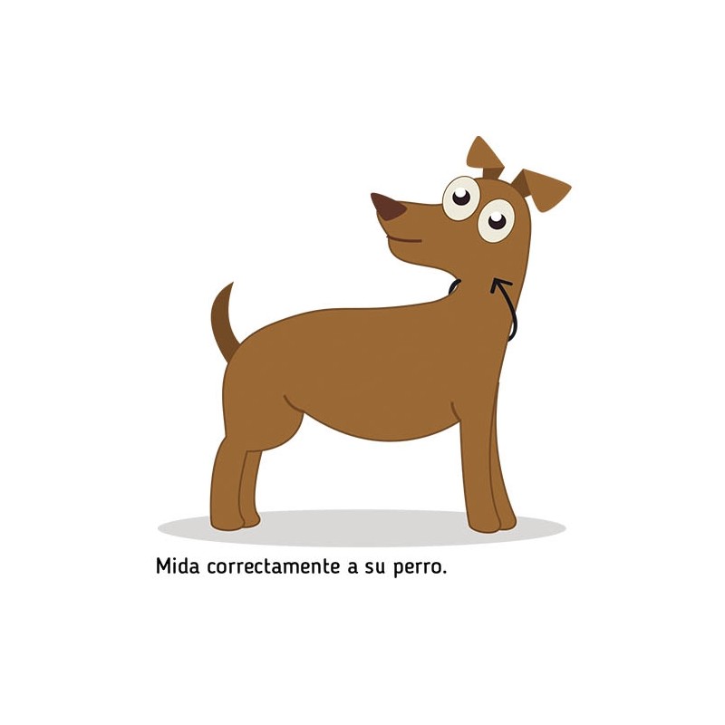 Collar Silky - Imagen 2