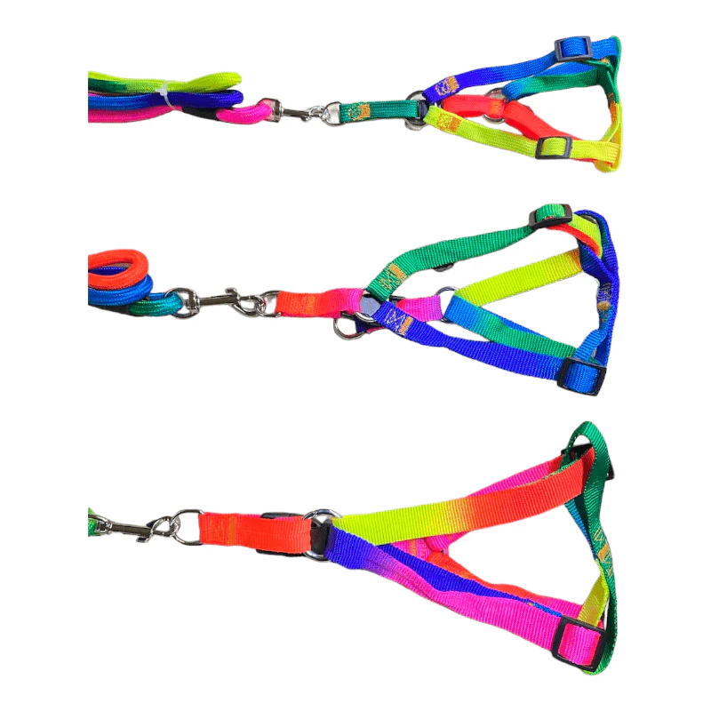 CT0167 1 Pieza De Pechera Con Correa Para Mascota - Imagen 2