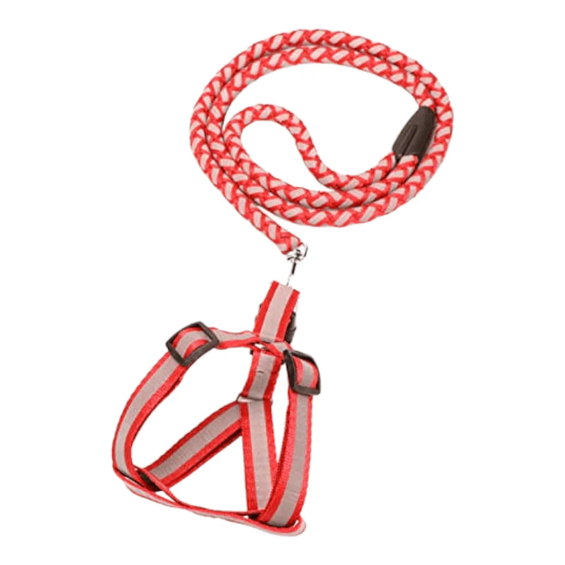 CT0259 1 Pieza De Pechera Con Correa Para Mascota - Imagen 2