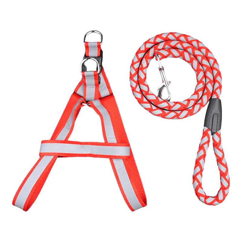 CT0259 1 Pieza De Pechera Con Correa Para Mascota - Imagen 4