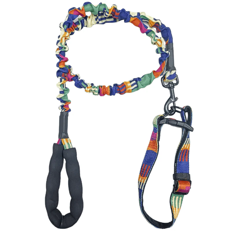 CT0438 1 Pieza De Correa Con Collar Para Mascota - Imagen 2