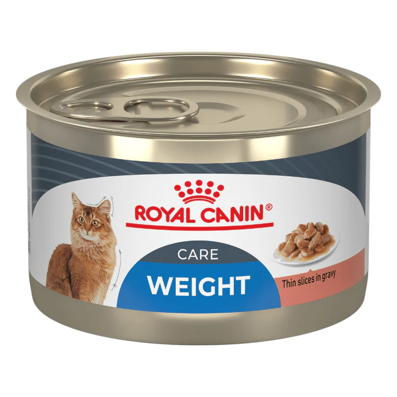 CT0444 1 Pieza De Alimento Cuidado Peso Para Gato