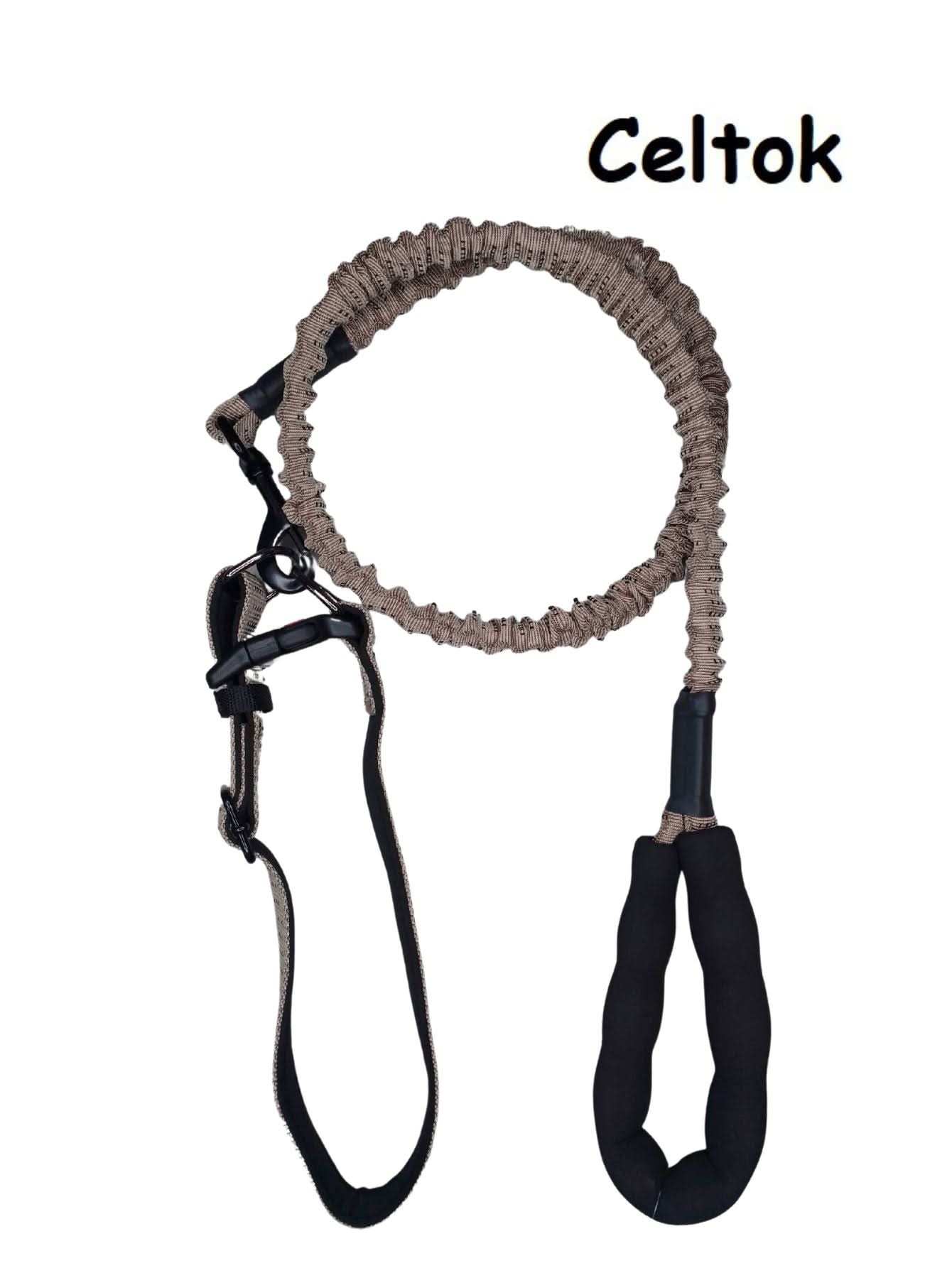 CT0469 1 Pieza De Correa De Resorte & 1 Pieza De Collar Para Mascota - Imagen 4