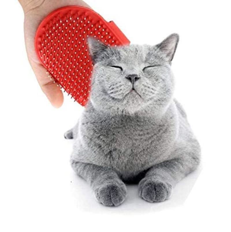 CT0587 1 Pieza Cepillo De Masaje De Ducha Para Mascota - Imagen 5