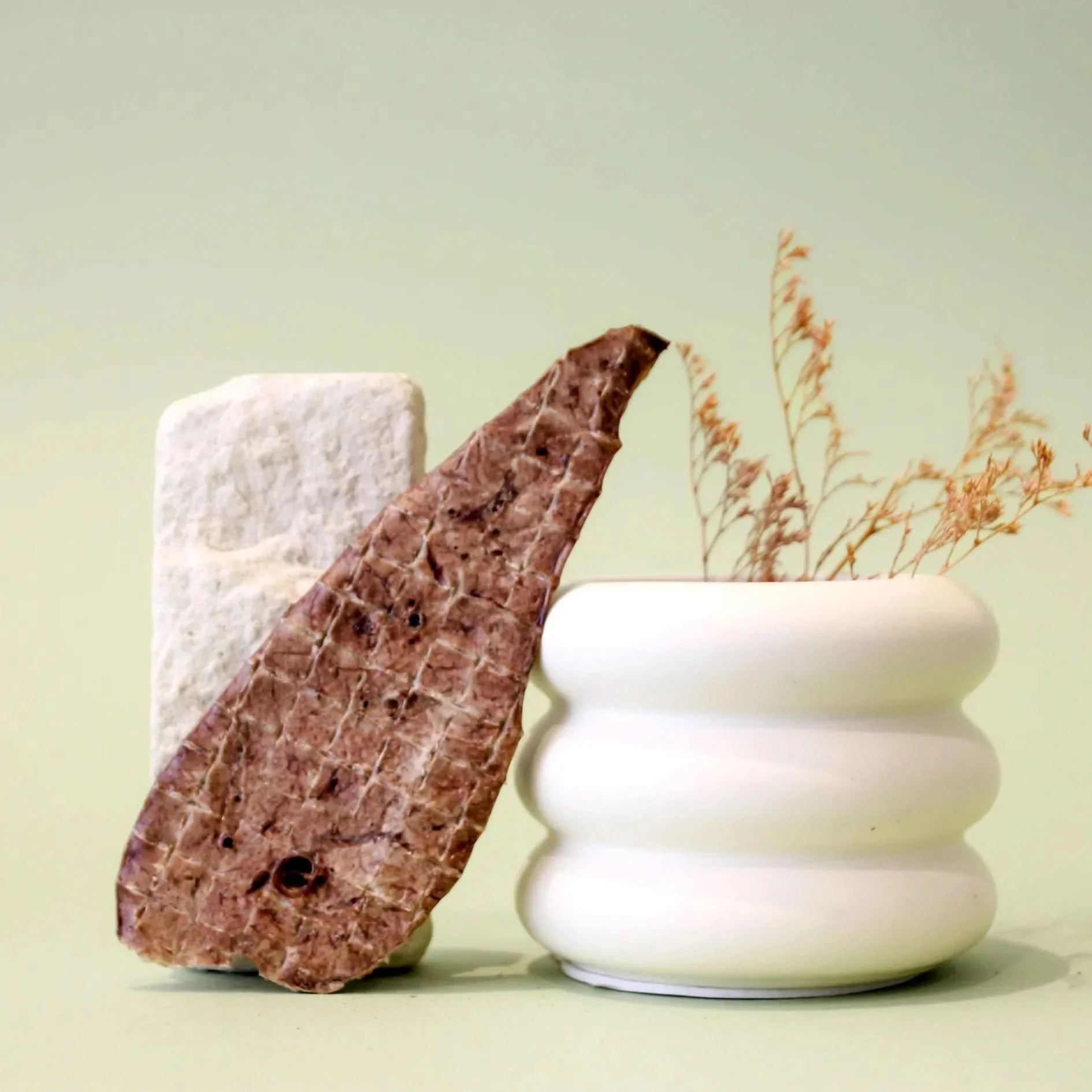 CT0616 90gr Premios de Res Pulmón Deshidratado - Imagen 2