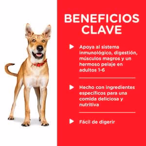 CT0723 1 Pieza De Estofado De Pollo Zanahorias y Espinacas Adulto - Imagen 6