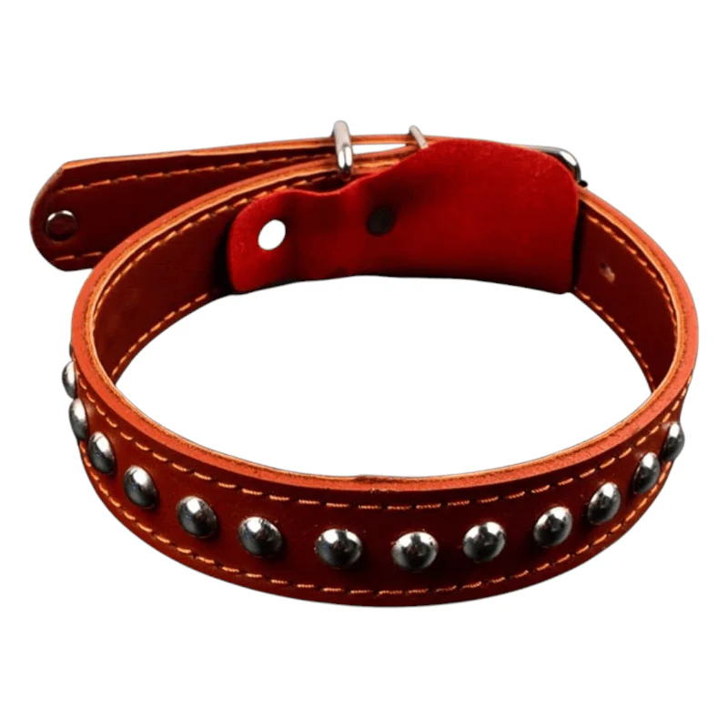 CT1008 1 Pieza Collar De Piel Para Mascota - Imagen 2