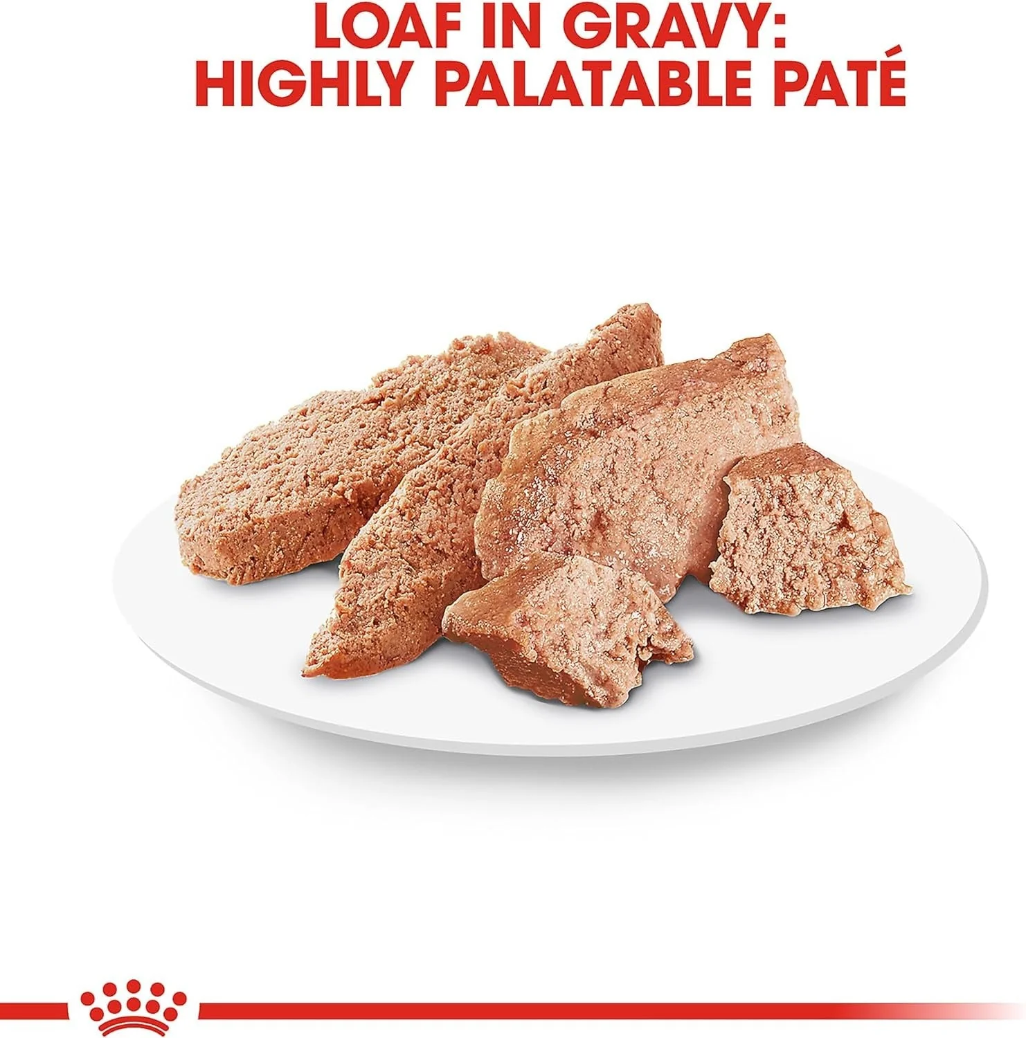 CT1165 1 Pieza De Alimento Persa Para Gato - Imagen 2