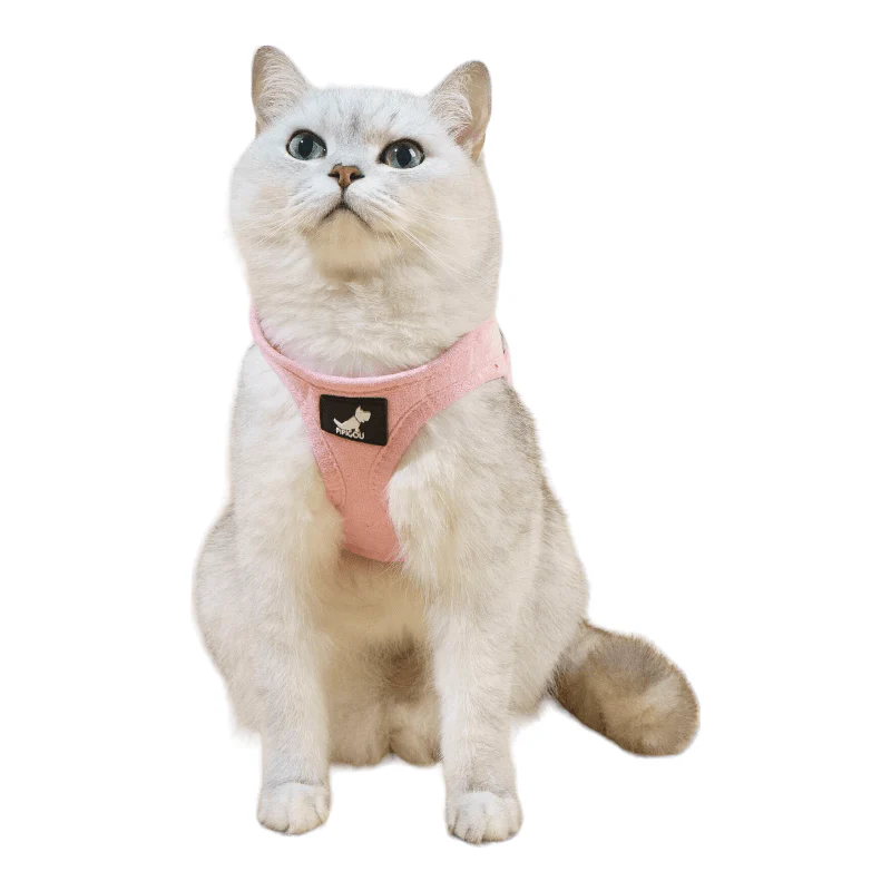 CT1176 1 Pieza De Pechera Con Correa Para Mascota - Imagen 2