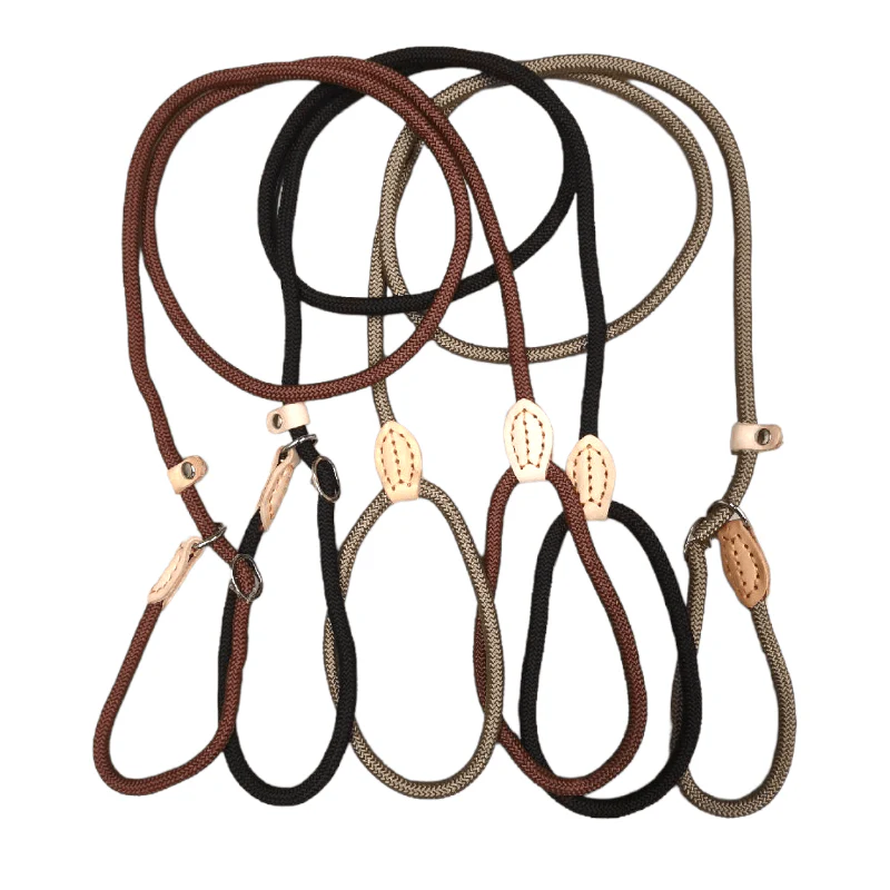 CT1230 1 Pieza De Correa Para Entrenamiento De Mascota