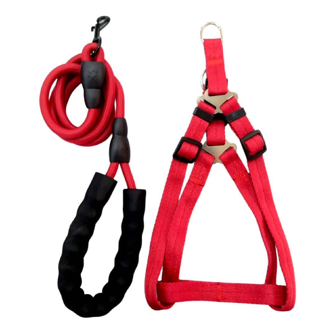 CT1270 1 Pieza De Pechera Con Correa Para Mascota - Imagen 4