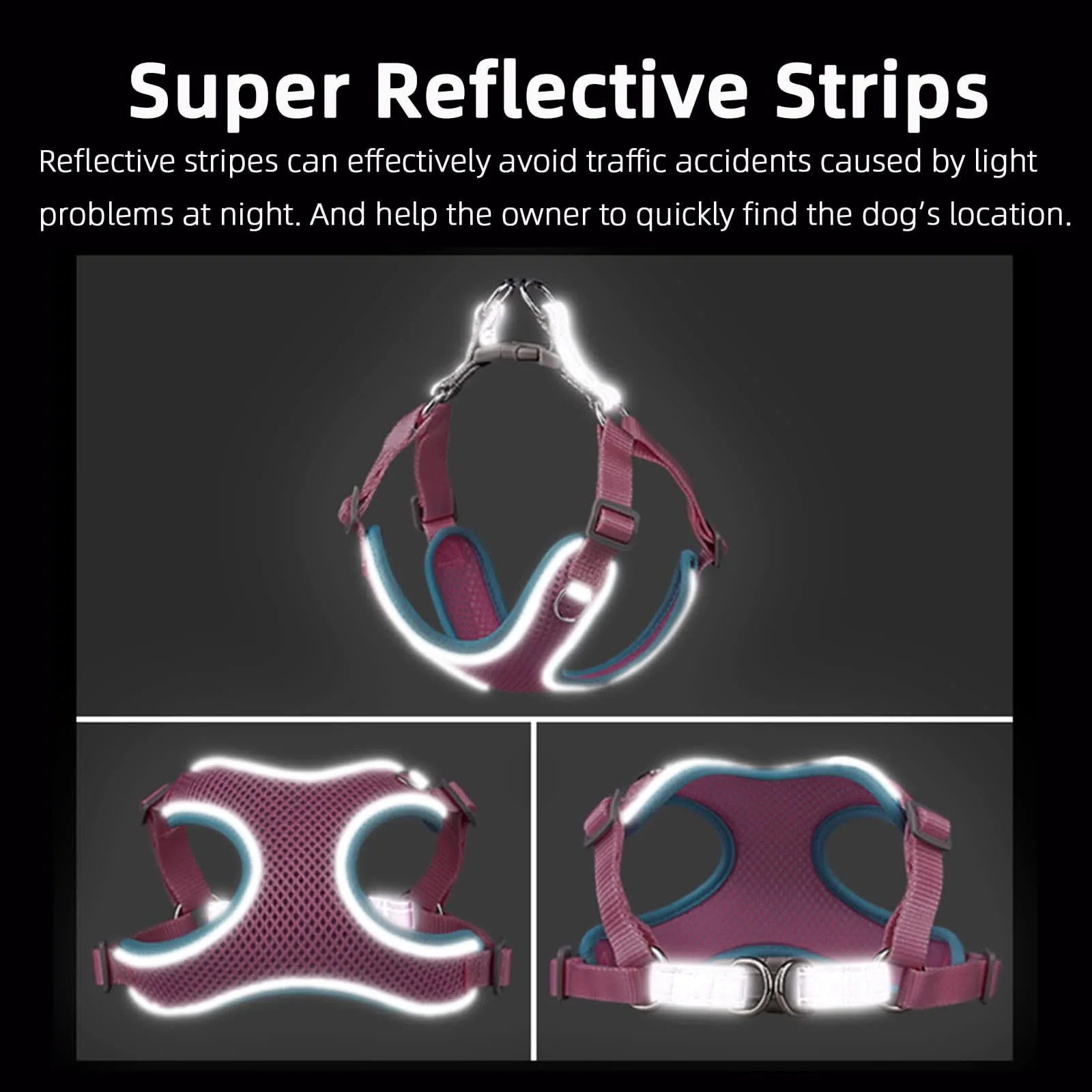 CT1350 1 Pieza De Pechera Con Correa Para Mascota - Imagen 2