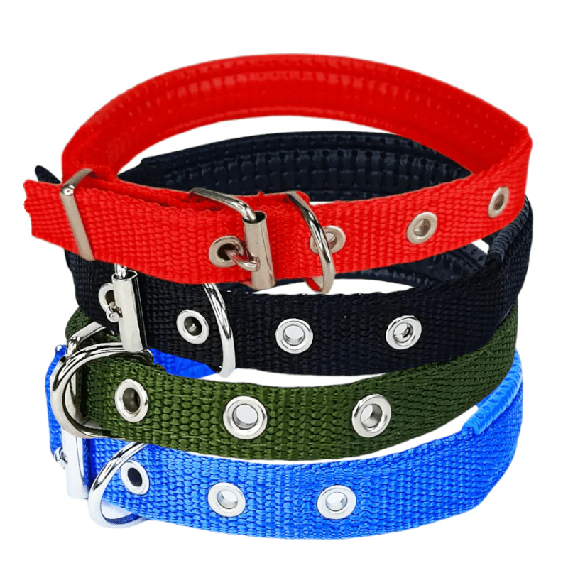 CT1655 1 Pieza De Collar Para Mascota - Imagen 2