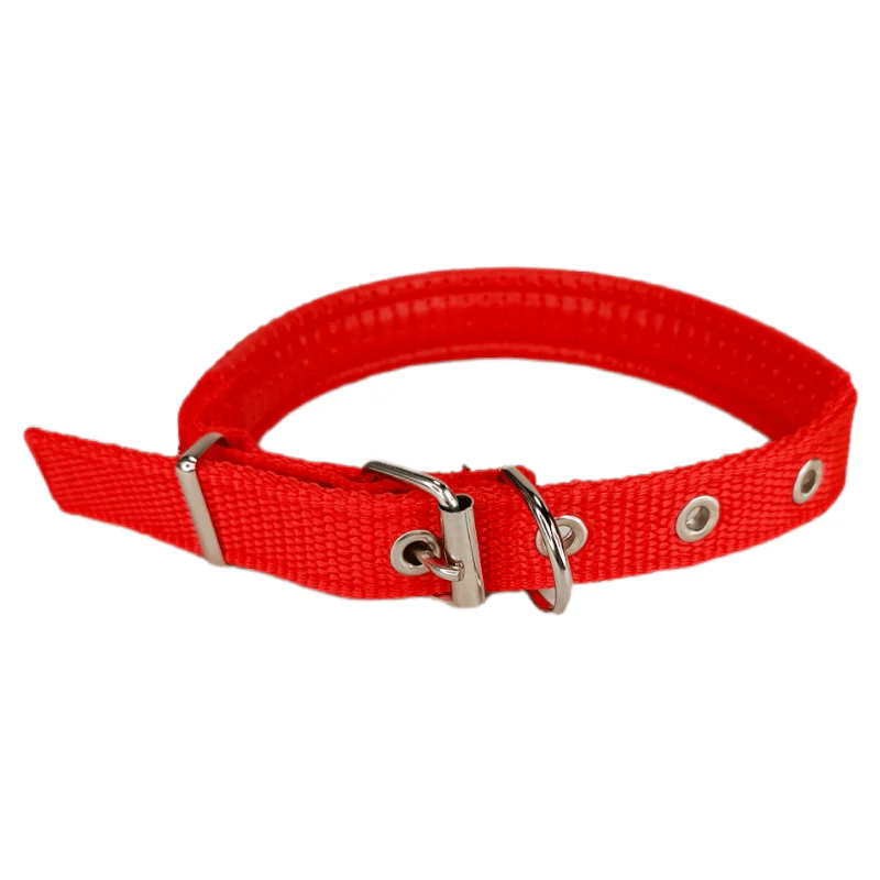 CT1655 1 Pieza De Collar Para Mascota - Imagen 3
