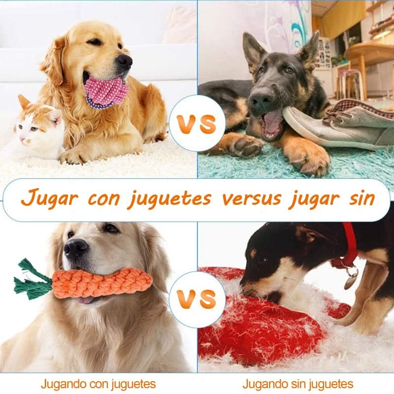 CT1750 1 Set De 10 Piezas Set Juguete De Mascota - Imagen 7