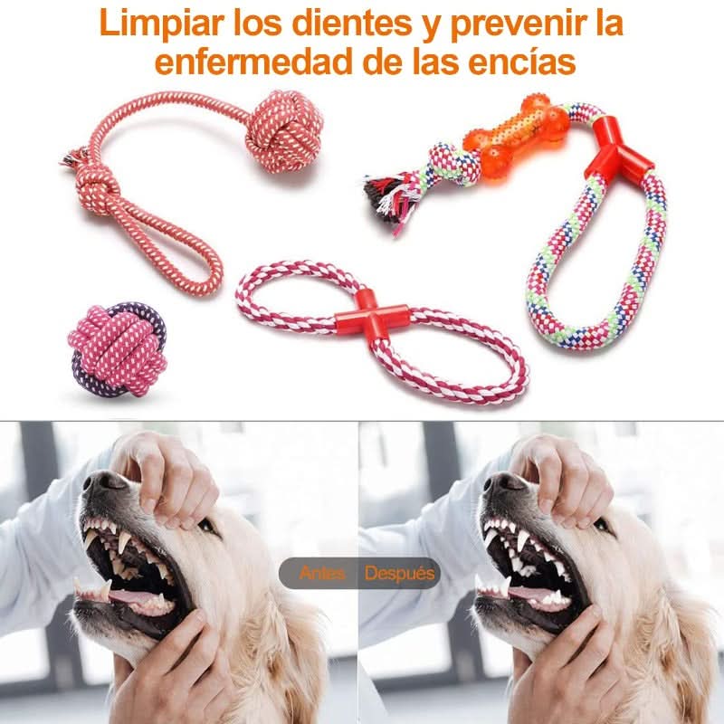 CT1750 1 Set De 10 Piezas Set Juguete De Mascota - Imagen 6