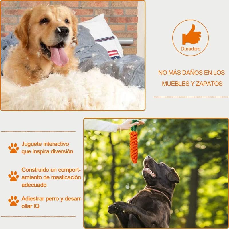 CT1750 1 Set De 10 Piezas Set Juguete De Mascota - Imagen 4