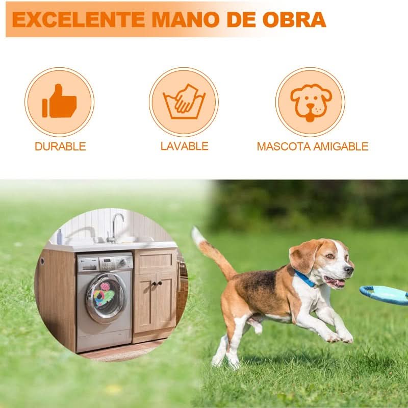 CT1750 1 Set De 10 Piezas Set Juguete De Mascota - Imagen 5