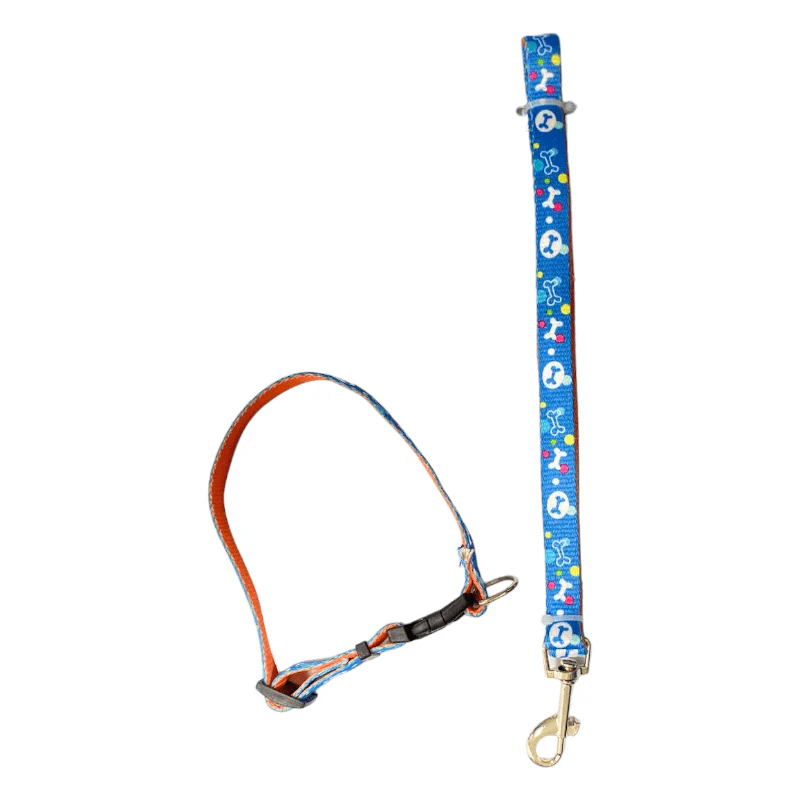 CT2220 1 Pieza De Collar Con Correa Para Mascota - Imagen 2