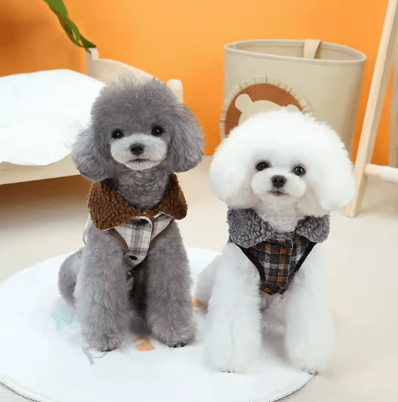 CT2304 1 Pieza De Ropa De Invierno Para Mascota - Imagen 2