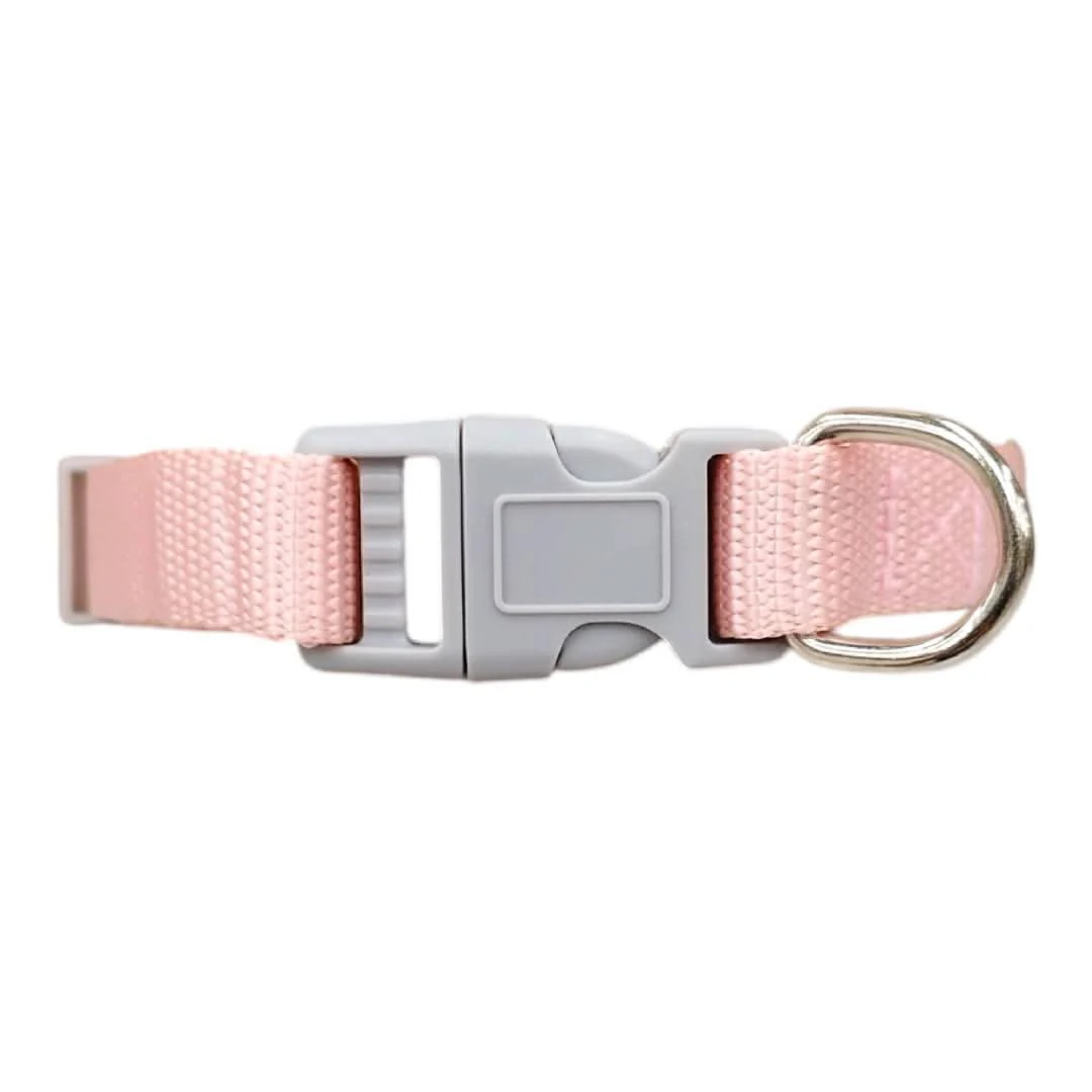 CT2495 1 Pieza De Collar Para Mascota - Imagen 5