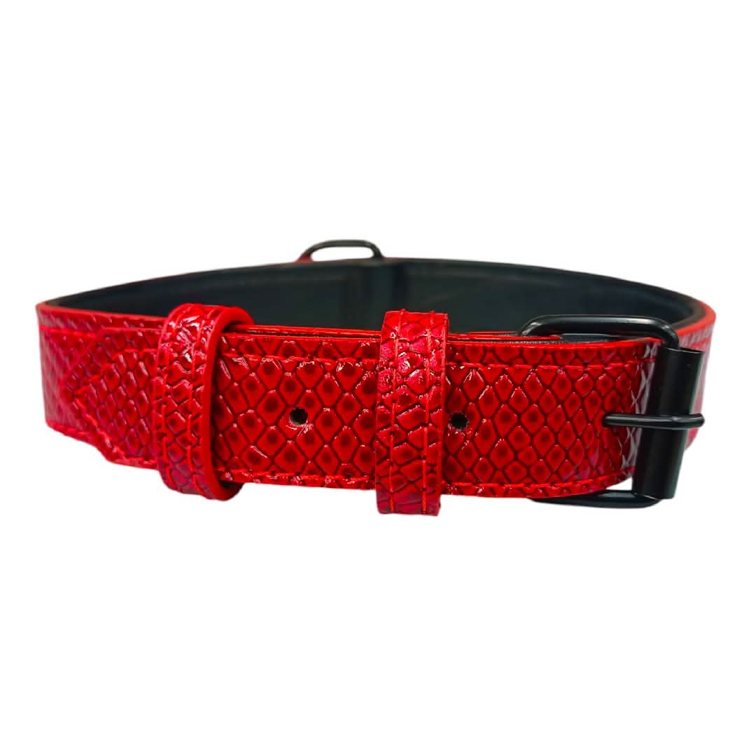 CT2877 1 Pieza De Collar Para Mascota - Imagen 5